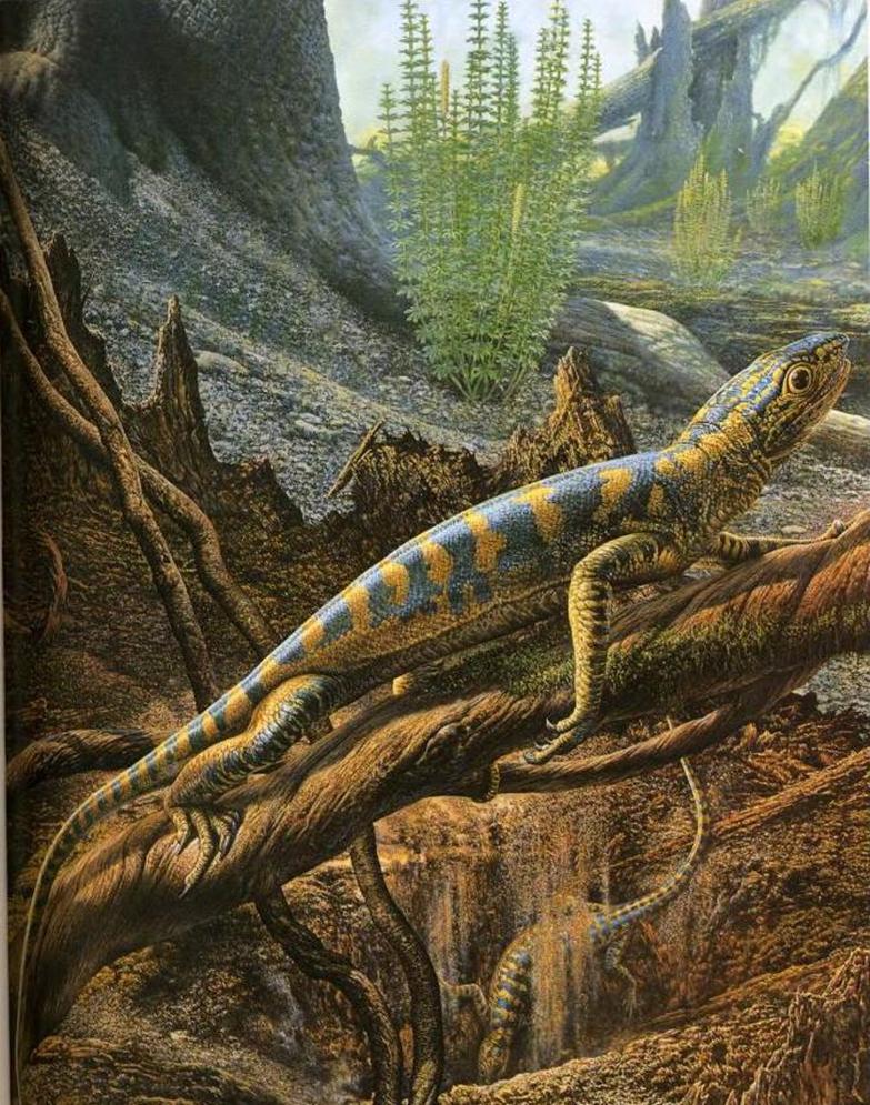 Blog de la Vida Prehistórica Hylonomus